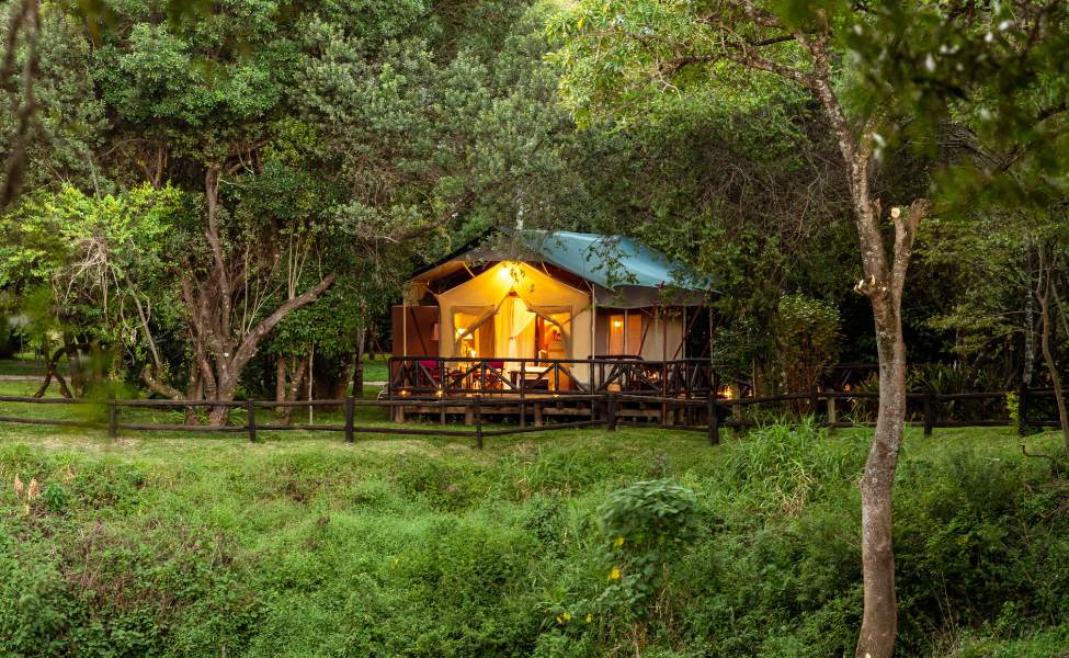 Camp Okavango Room