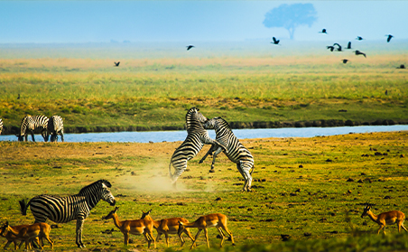 Tanzania