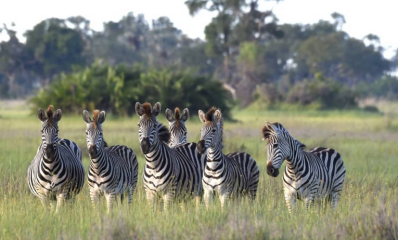 Tanzania