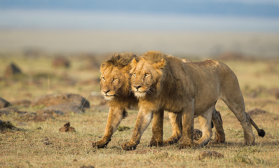 South Africa
