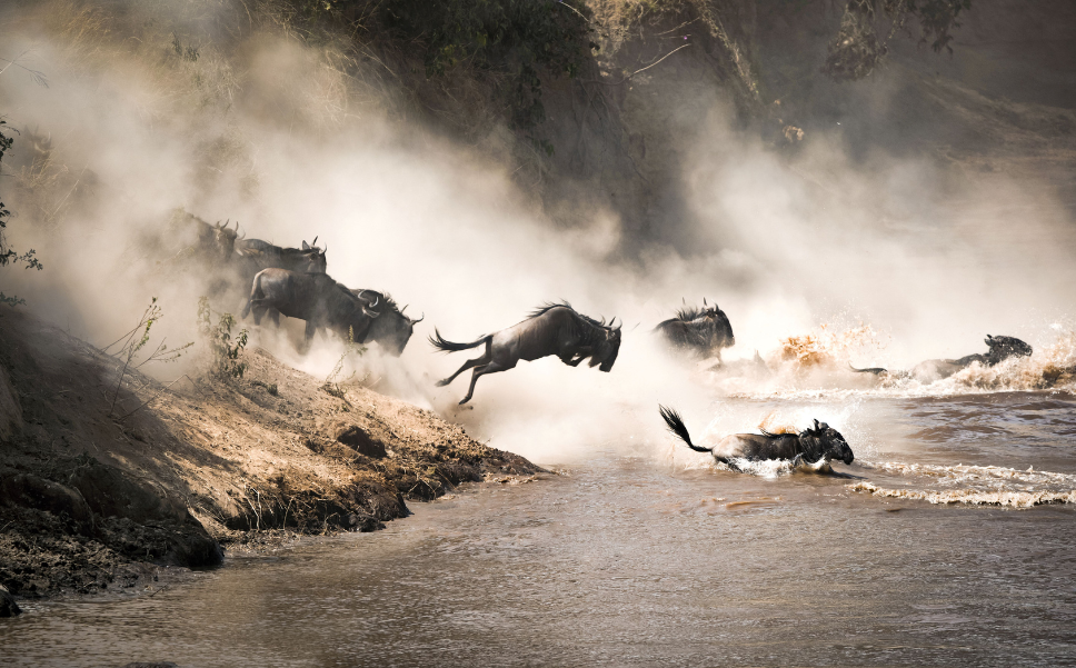 Elewana Loisaba Tented Camp