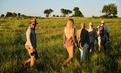Luxury Safari