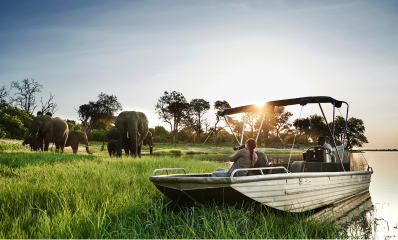 Water Safari